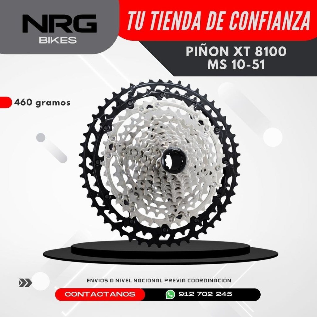 PIÑON XT 8100 MS 10-51