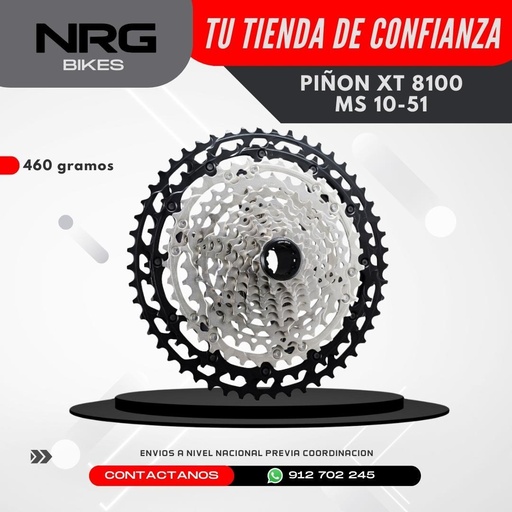 PIÑON XT 8100 MS 10-51
